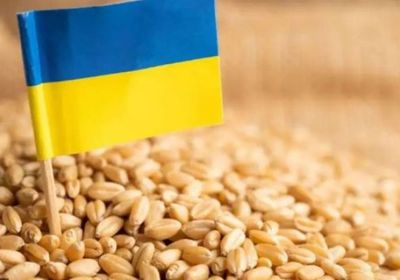 أوكرانيا: انخفاض صادرات الحبوب الموسمية في أكتوبر