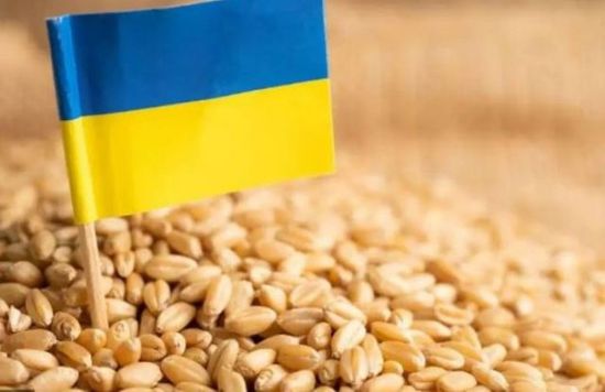 أوكرانيا: انخفاض صادرات الحبوب الموسمية في أكتوبر
