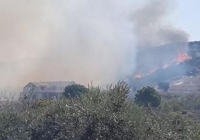 لبنان: حرائق ناجمة عن القصف الإسرائيلي دمرت 40 ألف شجرة زيتون