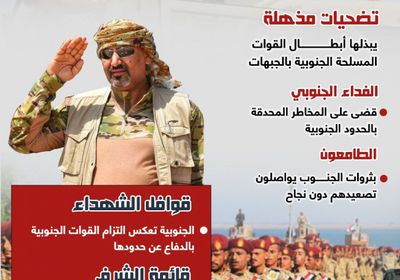 القوات الجنوبية.. صمود وفداء (إنفوجراف)