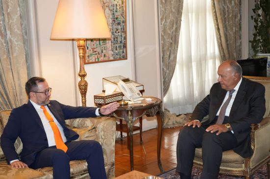 وزير الخارجية المصري يستقبل نظيره الفنزويلي في القاهرة