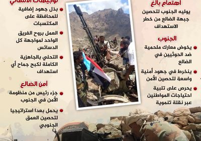 تحصين الضالع.. الجنوب يحمي منظومة أمنه القومي (إنفوجراف)