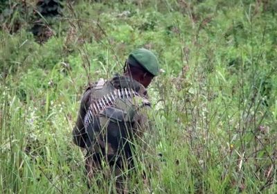 قتلى في معارك بين الجيش والمتمردين شرق الكونغو