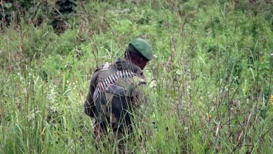 قتلى في معارك بين الجيش والمتمردين شرق الكونغو