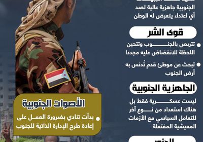 الجنوب.. خيارات متعددة (إنفوجراف)