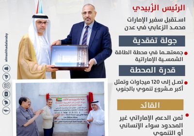 التنمية والإغاثة.. سبق إماراتي (إنفوجراف)