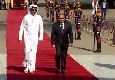 الرئيس السيسي يناقش مع أمير قطر التطورات بفلسطين