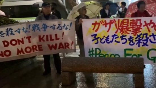 دعما لفلسطين.. آلاف اليابانيين يتظاهرون في طوكيو