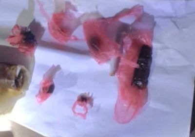 بحوزته قطع حشيش.. القبض على متهم بتعاطي المخدرات في عدن