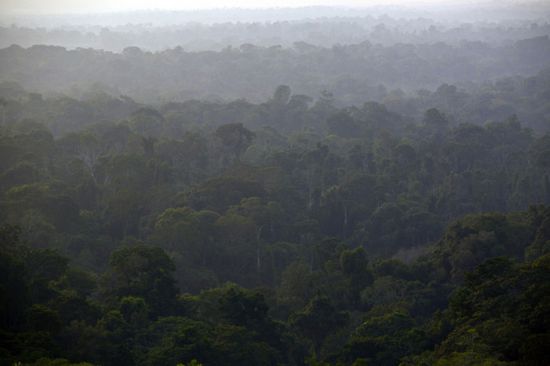 البرازيل تبيع سندات بملياري دولار لتمويل مشاريع خضراء