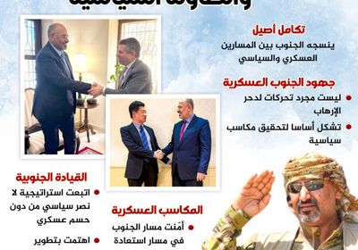 تكامل يخدم قضية الشعب.. الجنوب بين الجبهة العسكرية والطاولة السياسية (إنفوجراف)