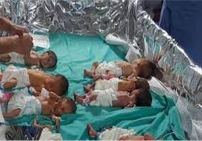 غزة.. إجلاء 31 من الأطفال الخدج للعلاج بمصر