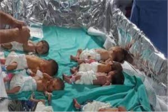غزة.. إجلاء 31 من الأطفال الخدج للعلاج بمصر
