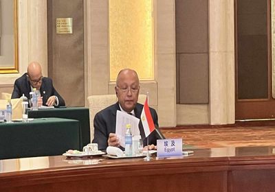 شكري: الموقف المصري والعربي الرافض لتهجير الفلسطينيين كان بمثابة خط أحمر