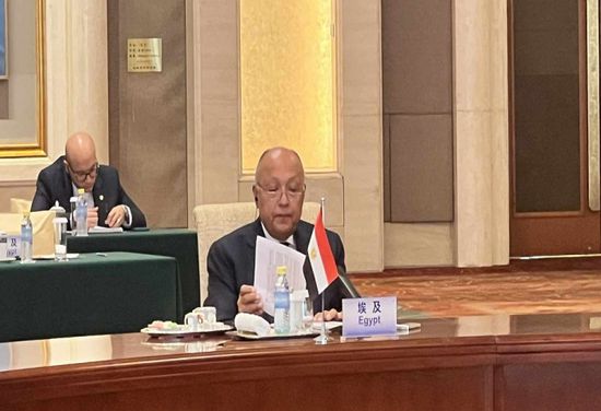 شكري: الموقف المصري والعربي الرافض لتهجير الفلسطينيين كان بمثابة خط أحمر