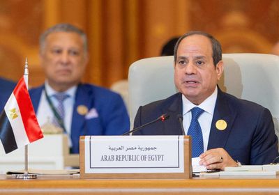 السيسي: بيان الحكومة أمام البرلمان عبّر عن ثوابت الدولة تجاه القضية الفلسطينية