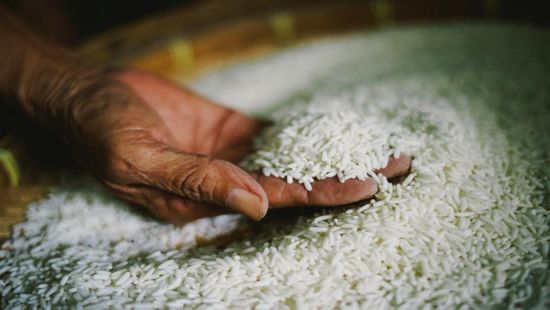 الهند تمدد قيود تصدير الأرز وترفع الأسعار العالمية
