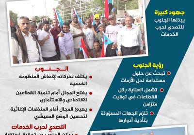 رؤية الجنوب للتعامل مع حرب الخدمات.. حسم ومواجهة (إنفوجراف)