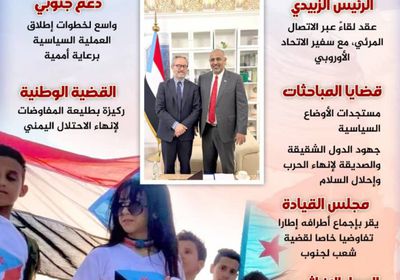 ترحيب جنوبي بالجهد الدولي لإحلال السلام (إنفوجراف)