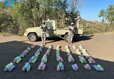 ضبط 4 يمنيين بتهمة تهريب القات إلى السعودية