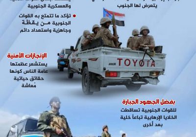 الأمن الجنوبي.. إنجازات ملموسة (إنفوجراف)