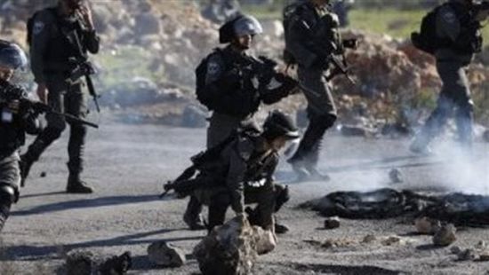 الجيش الإسرائيلي يكشف عن مقتل 4 من كلابه البوليسية في غزة