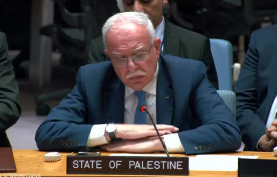 وزير الخارجية الفلسطينية يتهم إسرائيل بترهيب كل منتقديها "حتى حلفائها"