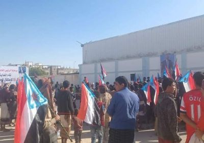 توافد الجماهير إلى مدينة عتق للاحتفال بعيد الجلاء الـ56