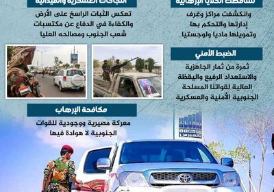 مكافحة الإرهاب.. معركة جنوبية لا هوادة فيها (إنفوجراف)