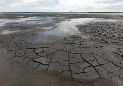الرئيس العراقي يحذر من أزمة شح المياه بالبلاد