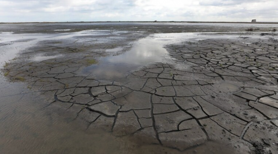 الرئيس العراقي يحذر من أزمة شح المياه بالبلاد