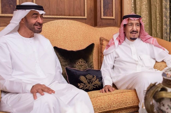 خادم الحرمين لرئيس الإمارات: نسعى لتعزيز وتنمية علاقاتنا بكافة المجالات