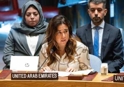 الإمارات تحث مجلس الأمن لوقف إطلاق النار بغزة