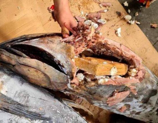 الشرطة الإسبانية تضبط 7.5 طن كوكايين مخبأة في أسماك تونة
