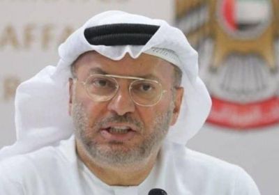 قرقاش يؤكد استمرار الجهود الإماراتية لوقف إطلاق النار بغزة