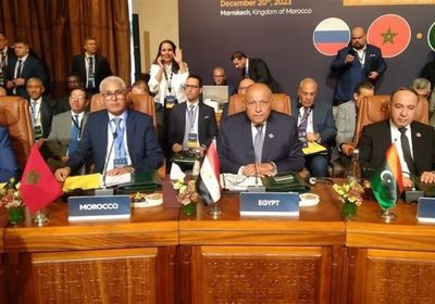 مجددًا.. وزير الخارجية المصري يدعو لوقف فوري لإطلاق النار في غزة