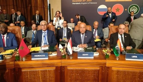 مجددًا.. وزير الخارجية المصري يدعو لوقف فوري لإطلاق النار في غزة