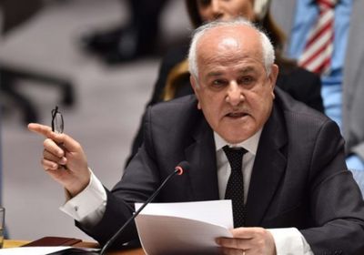 مندوب فلسطين بمجلس الأمن يشيد بدور مصر