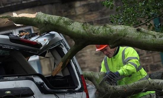انقطاع للكهرباء وسقوط للأشجار.. أضرار كارثية تضرب اسكتلندا بسبب إعصار غيريت