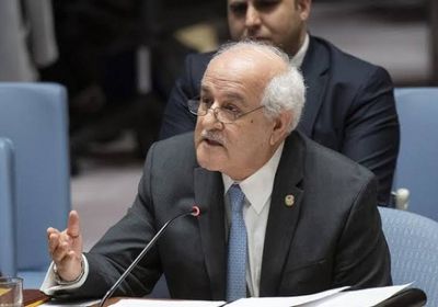 مندوب فلسطين بمجلس الأمن: ينبغي تتوقف المأساة في غزة