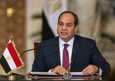 الرئيس السيسي يدعو لوقف النار في غزة