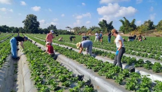 غزة تضرب القطاع الزراعي في إسرائيل