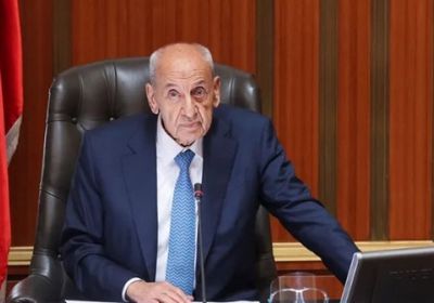 النواب اللبناني: مصر تصدت لمخطط تصفية القضية الفلسطينية