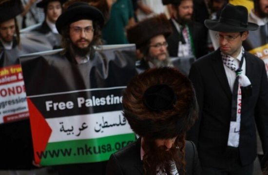 لنصرة القضية الفلسطينية.. يهود يقتحمون البرلمان النمساوي