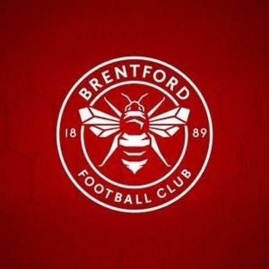 برينتفورد ونوتينجهام بالدوري الإنجليزي.. الموعد والقنوات الناقلة