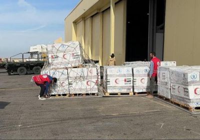 تحمل 50 طن.. الإمارات ترسل طائرة مساعدات غذائية إلى بوركينا فاسو