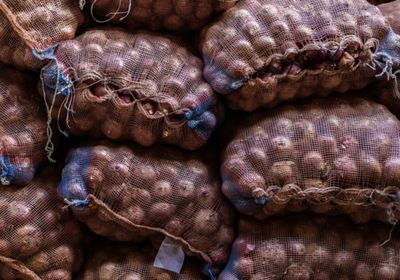 الفلبين توقف واردات البصل لحماية المزارعين المحليين