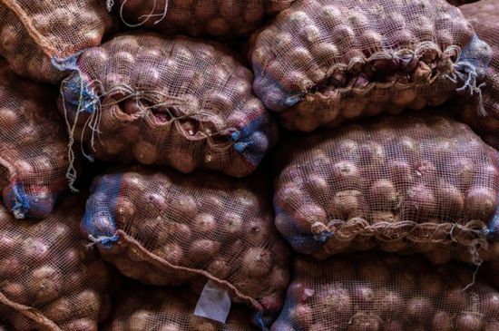 الفلبين توقف واردات البصل لحماية المزارعين المحليين