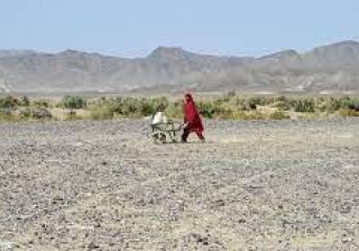 مسلحون يقتلون تسعة أجانب في إيران