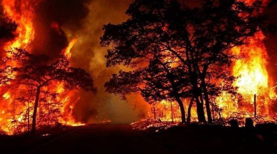 حرق أكثر من 17 ألف هكتار من الغابات بكولومبيا